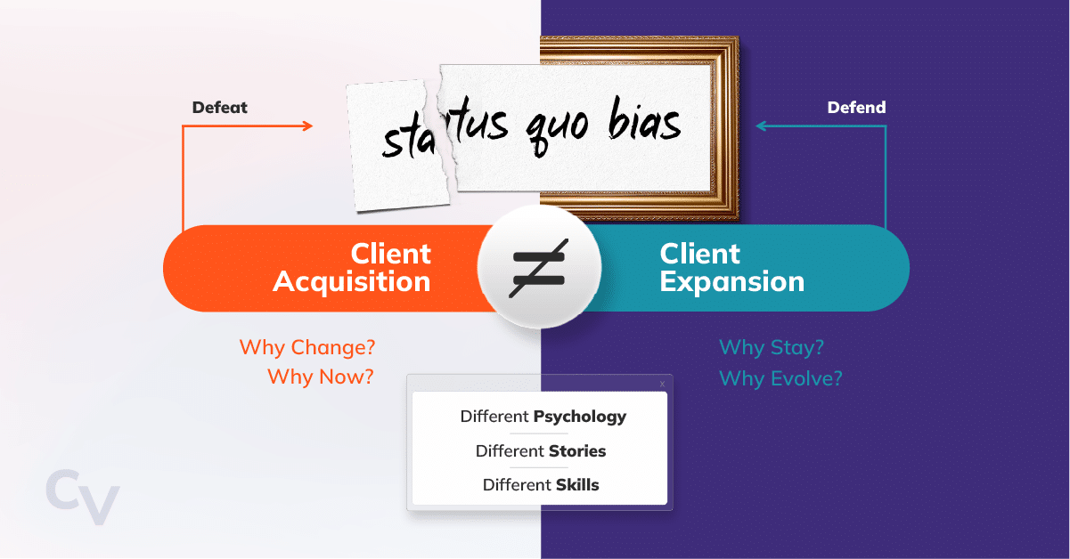 customer acquisition vs. customer expansion sales