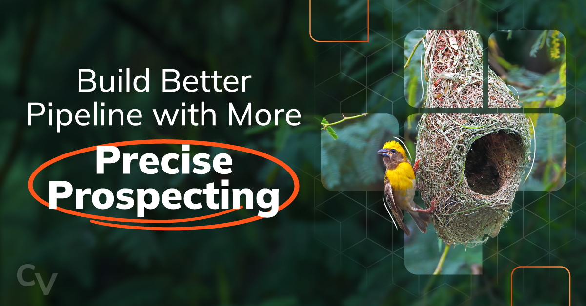 Featured graphic reading “Build Better Pipeline With More Precise Prospecting,” alongside an image of a weaver bird and its nest.
